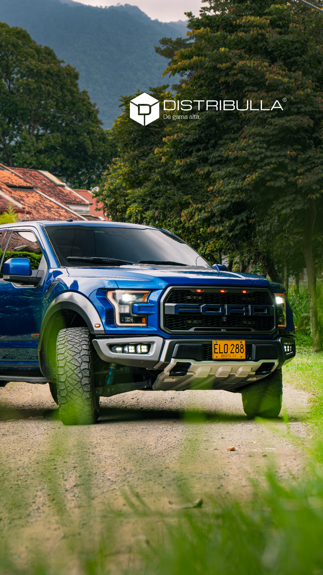 Ford Raptor — DISTRIBULLA